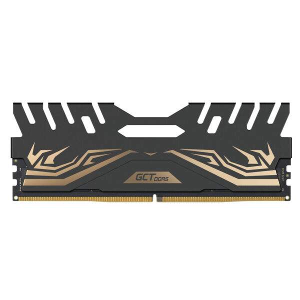 DDR5 Unbuffered DIMM (O.C)